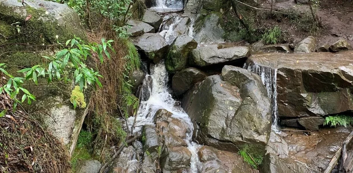 Discover Olinda Falls Lookout