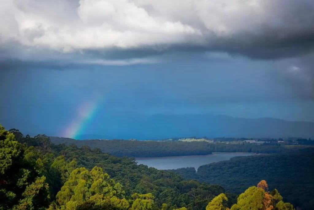 Kalorama Lookout