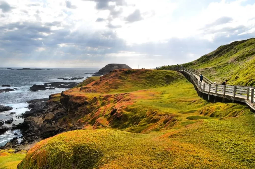 Phillip Island tours