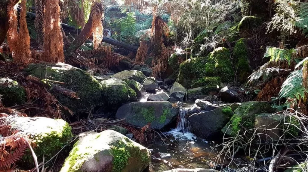 Sherbrooke Falls