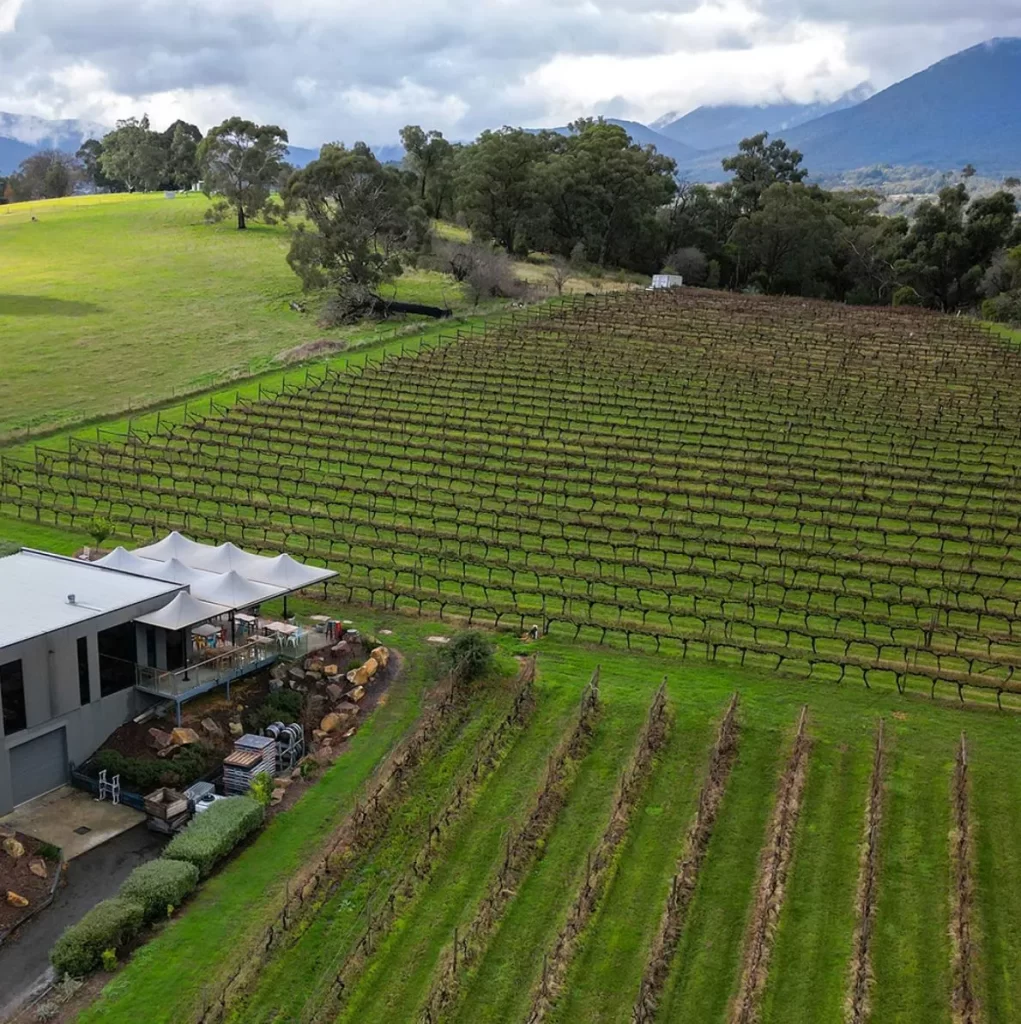 Yarra Valley Wine Tours