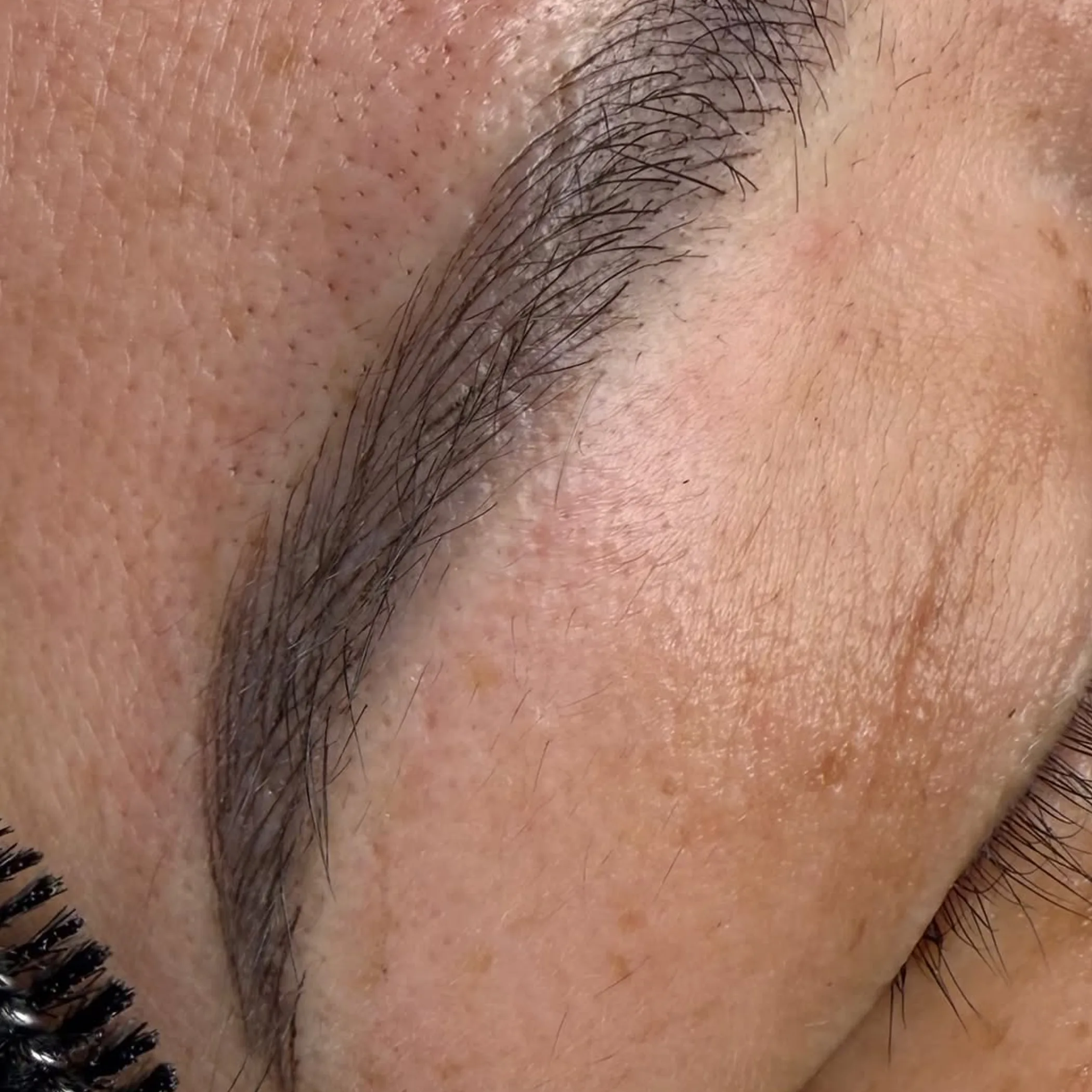 close-up of microbladed eyebrow