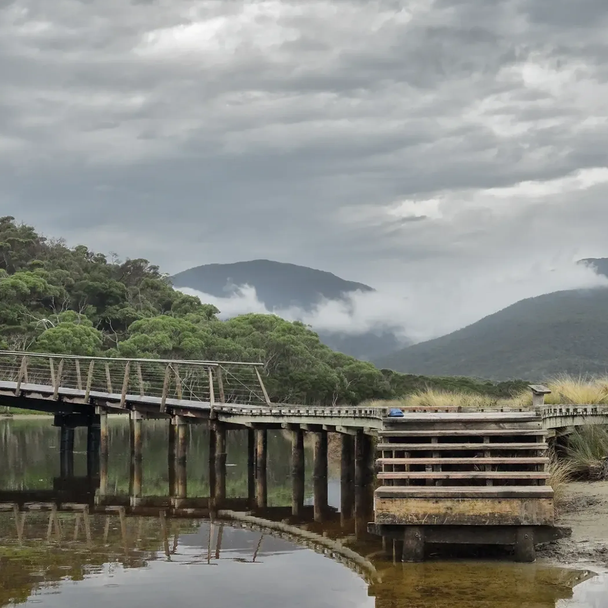 victorian national park footbridge landscape
