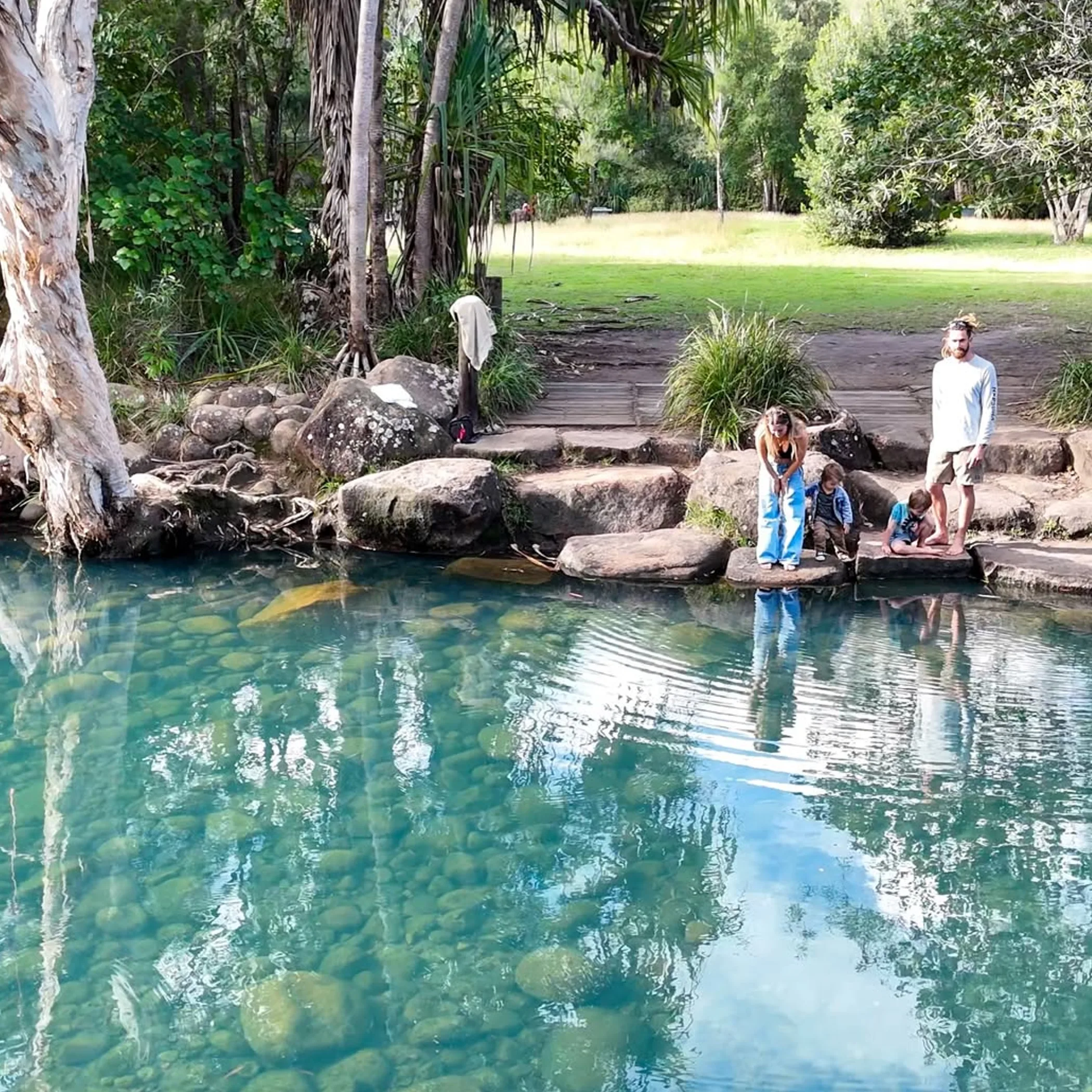 tropical queensland swimming scene