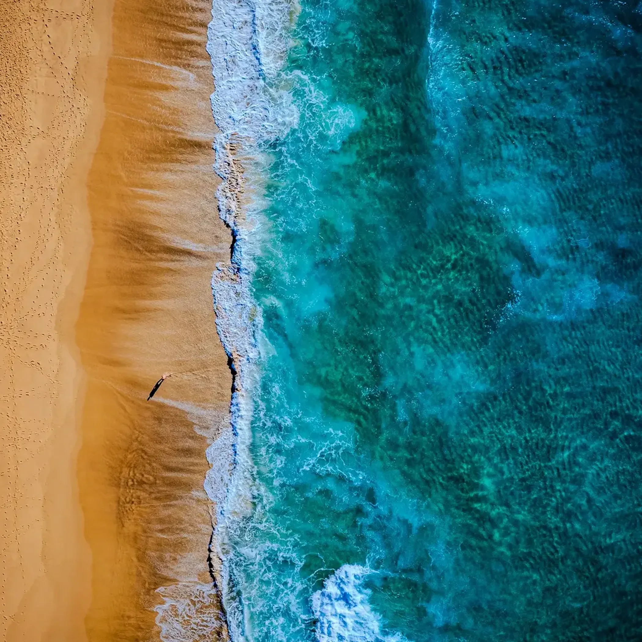 clean beach photograph