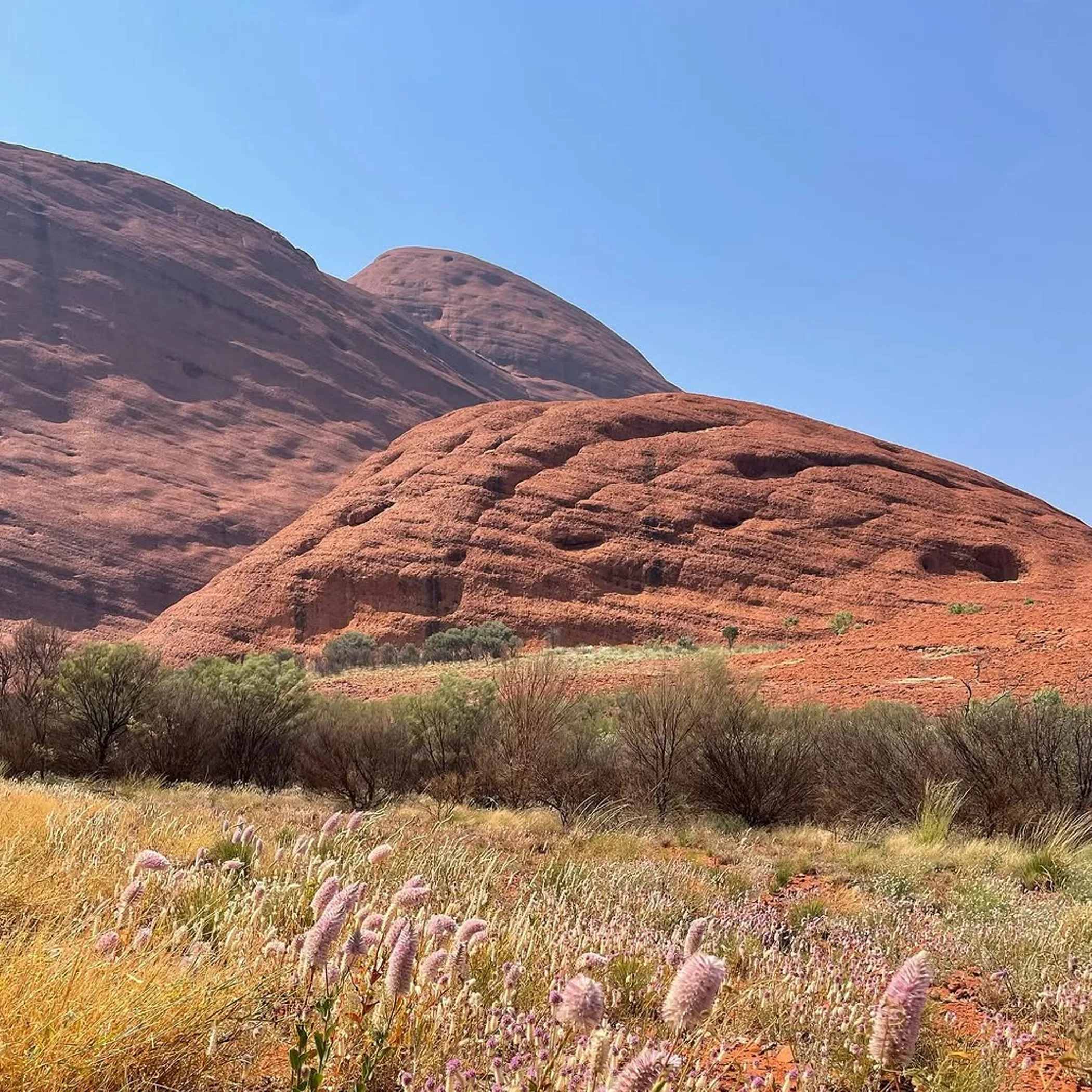 kata tjuta rock formations