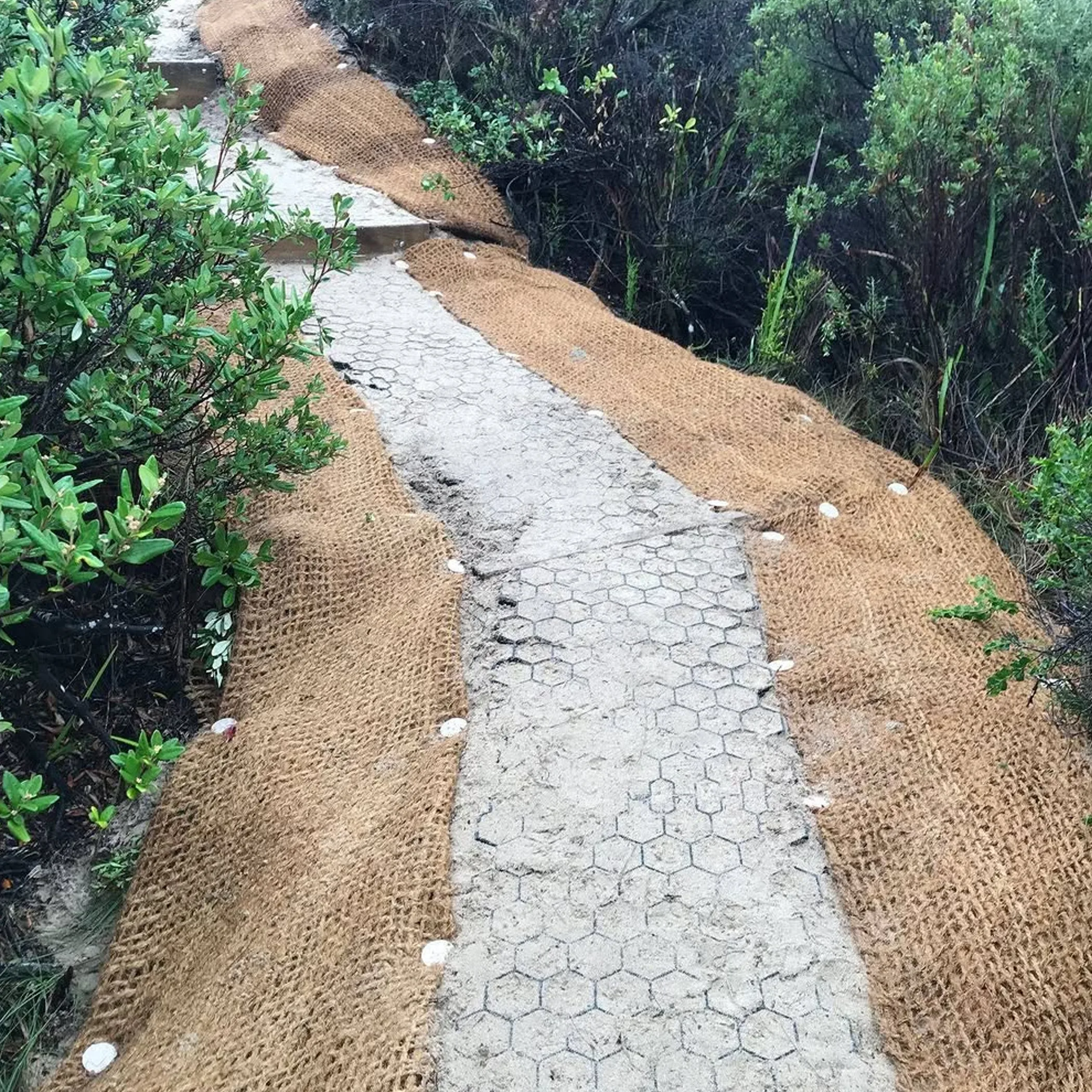 national park walkway for erosion control